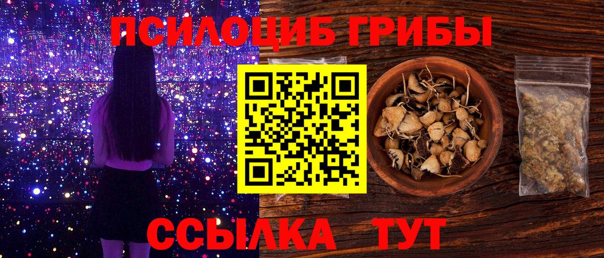 Галлюциногенные грибы Cubensis  Вход с VPN  Красноуфимск 